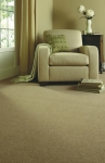 Axminster Carpets Devonia Plain
